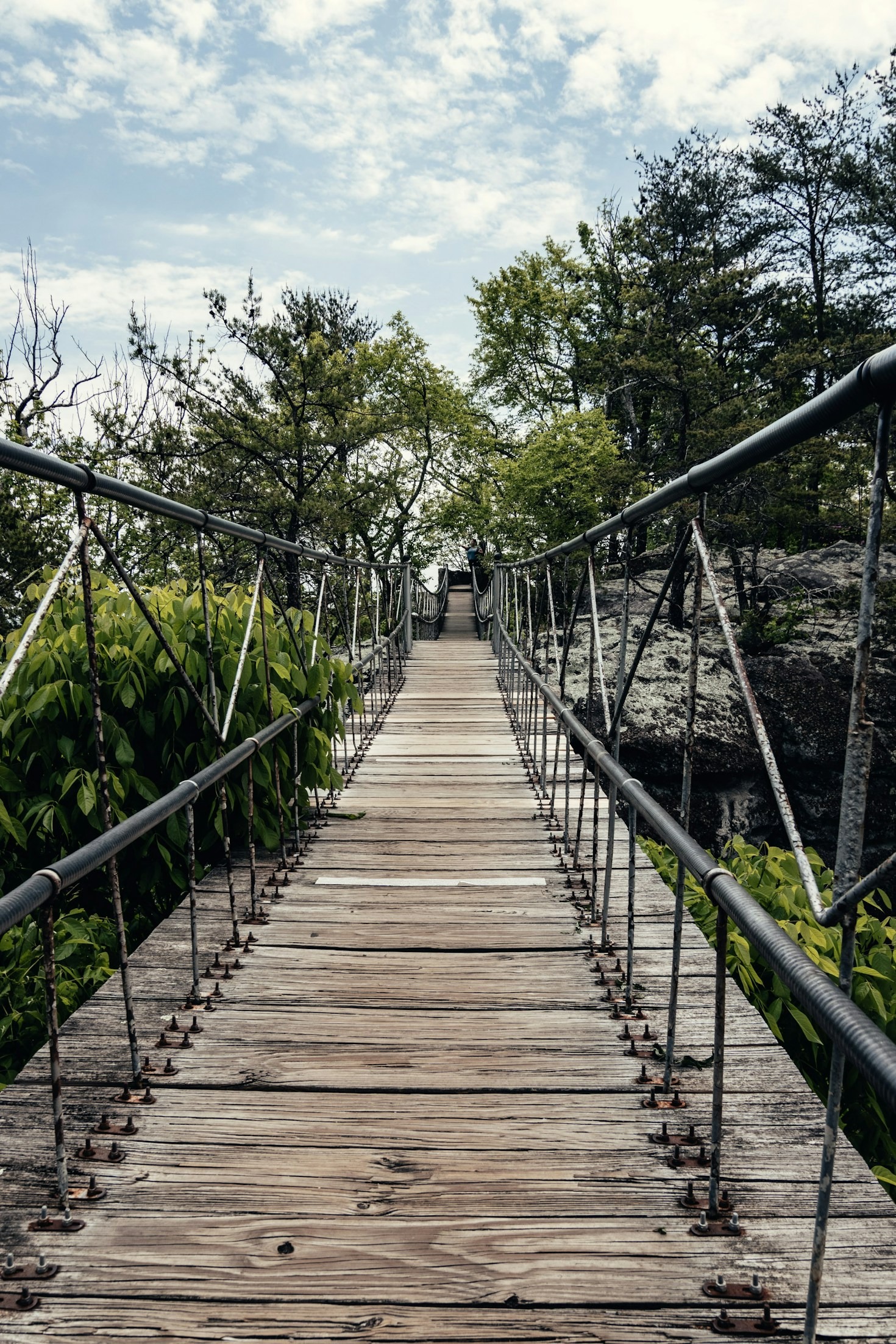 Navigating Challenges with Grace and Resilience